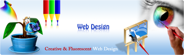 Custom Web Designer